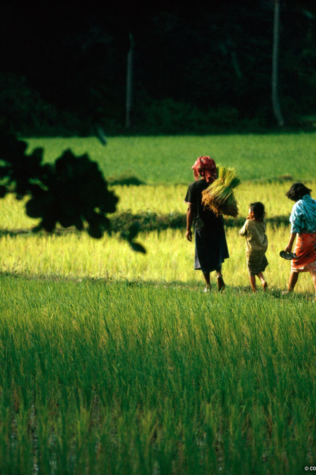 Семья аборигенов