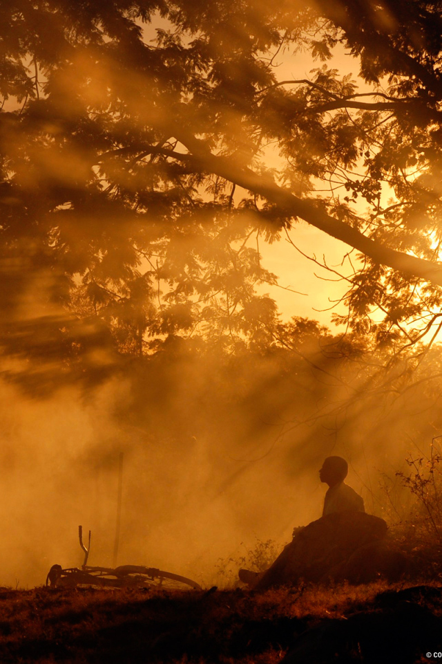 Человек с велосипедом