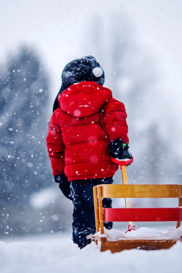 Ребенок везет санки