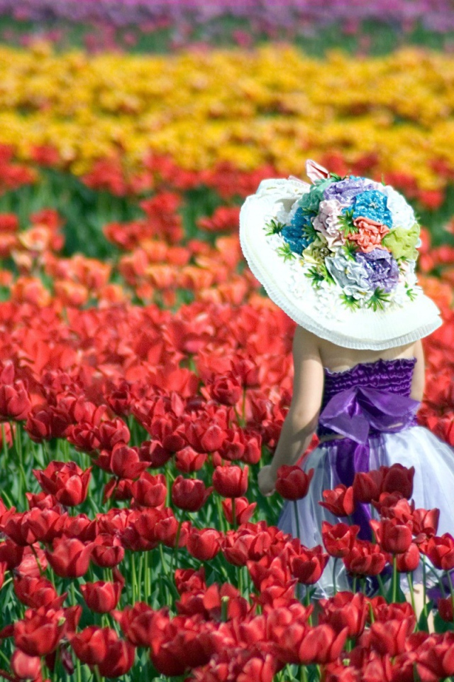 Девочка в шляпе идет среди красных тюльпанов