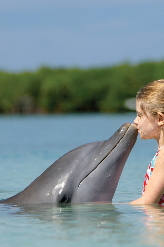 Маленькая девочка целует дельфина