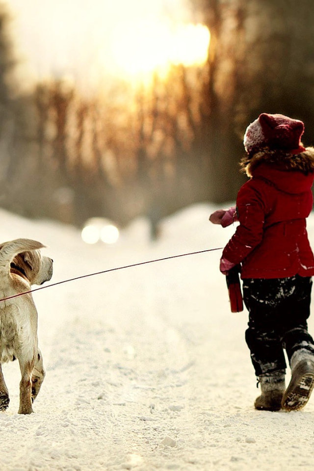Girl leads a dog on a leash for a walk