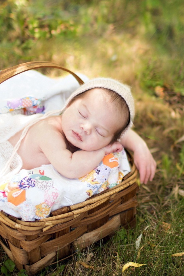 Ребенок спит в корзинке на траве