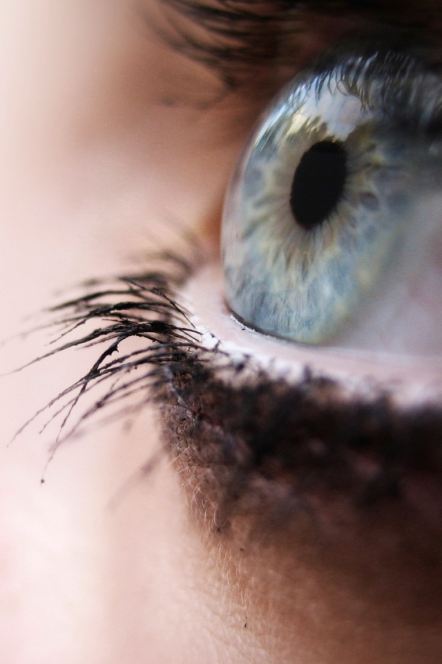 Глаз человека