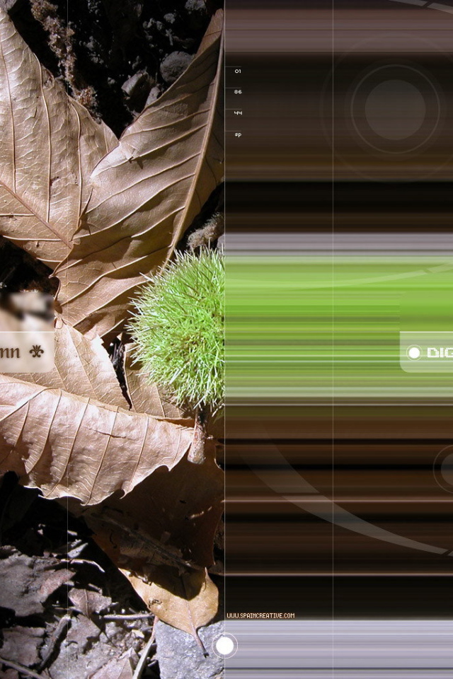 Природная и цифровая осень