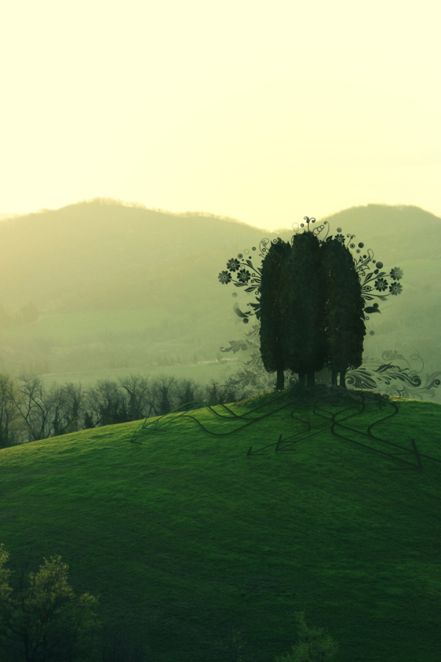Три дерева на холме