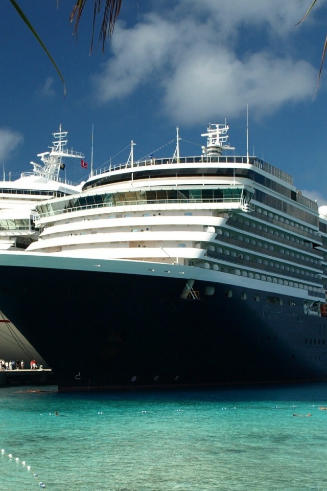 Белый и черный лайнеры в тропиках