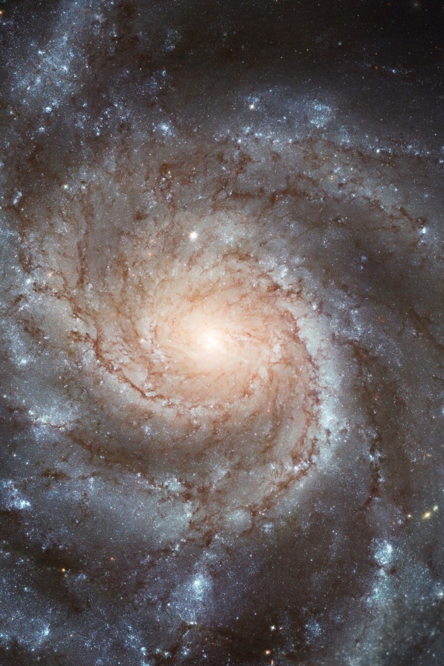 Центр круглой галактики