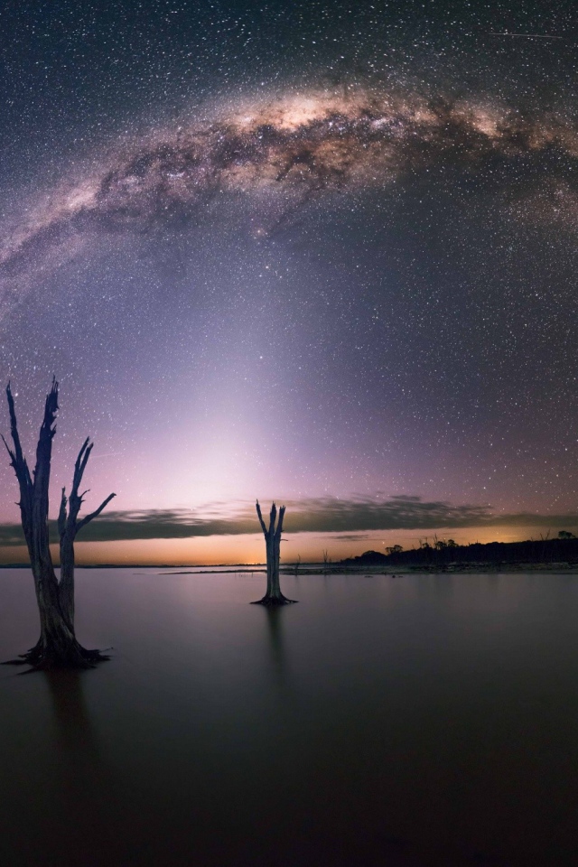 Остатки деревьев на озере под звездами