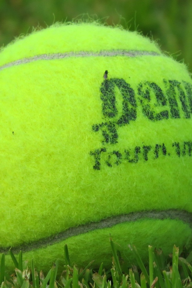 Теннисный мяч на газоне