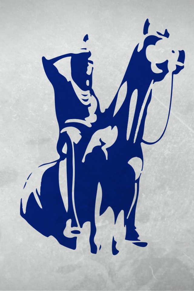 Флаг хоккейной команды Kansas City Scouts