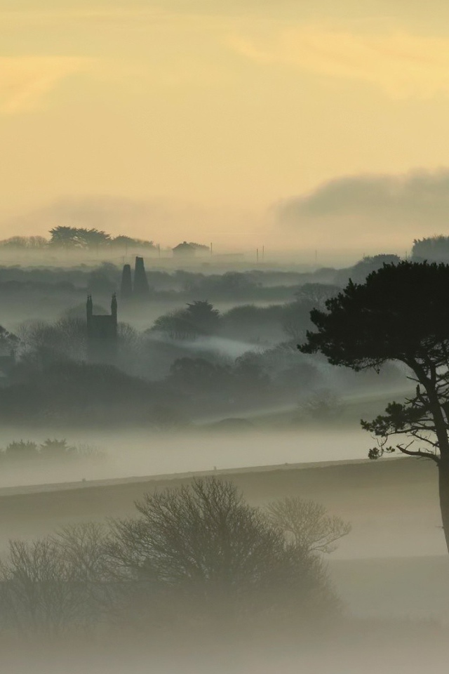 Город, покрытый густым туманом