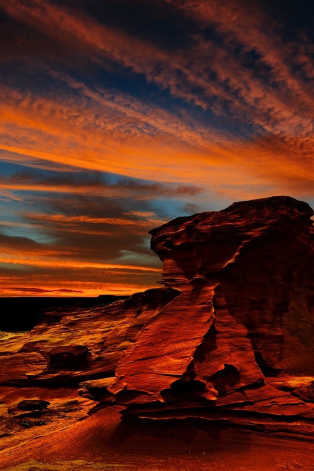 Орел над красной скалой в Чили