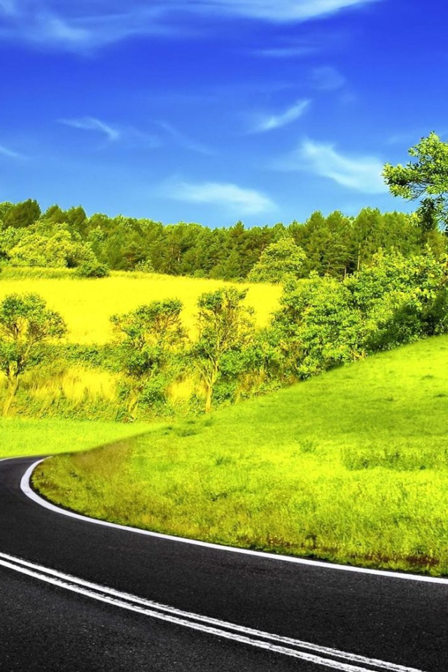 Спокойный сельский пейзаж