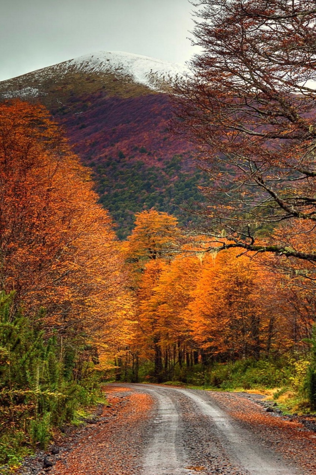 Дорога в осеннем лесу у подножия горы, Чили