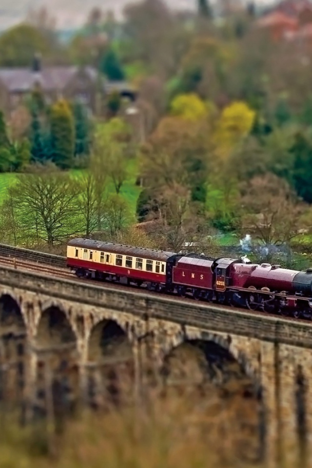 Паровоз с одним вагоном на мосту