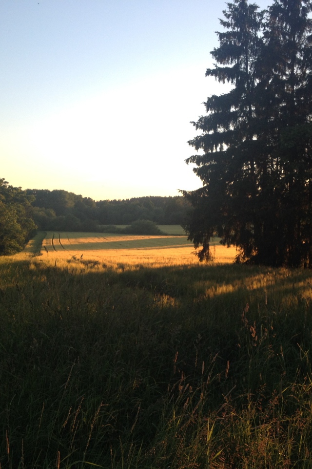 Летний пейзаж в Финляндии