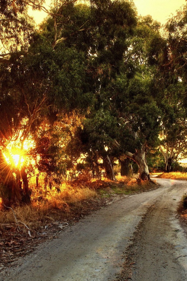 Сельская дорога в Австралии