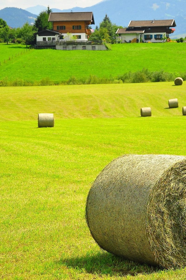 Тюки сена на поле, Австрия