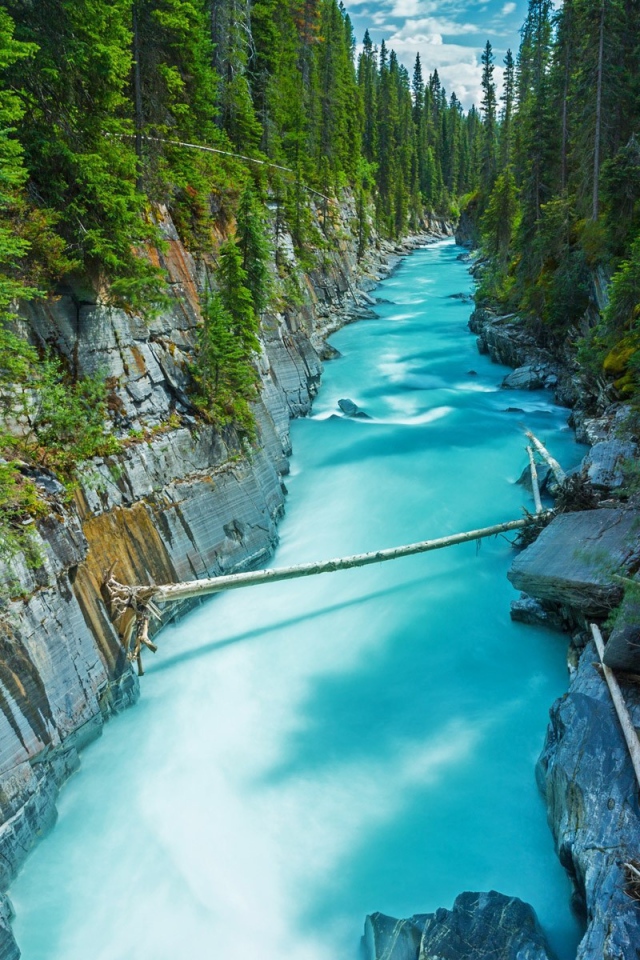 Голубая река среди леса в Канаде