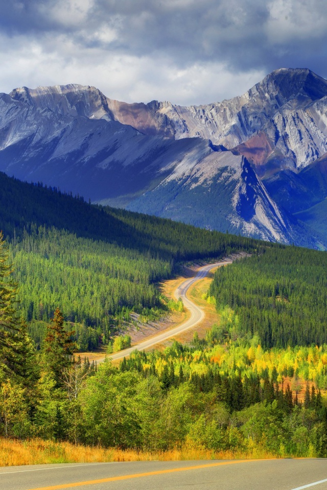 Шоссе среди горного леса в Канаде