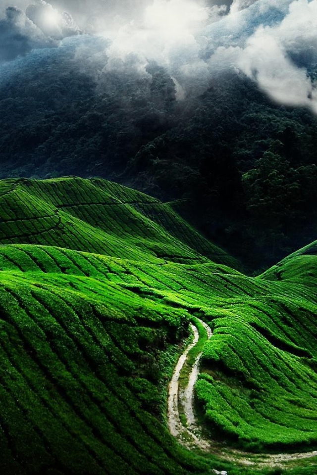 Горный пейзаж в Китае