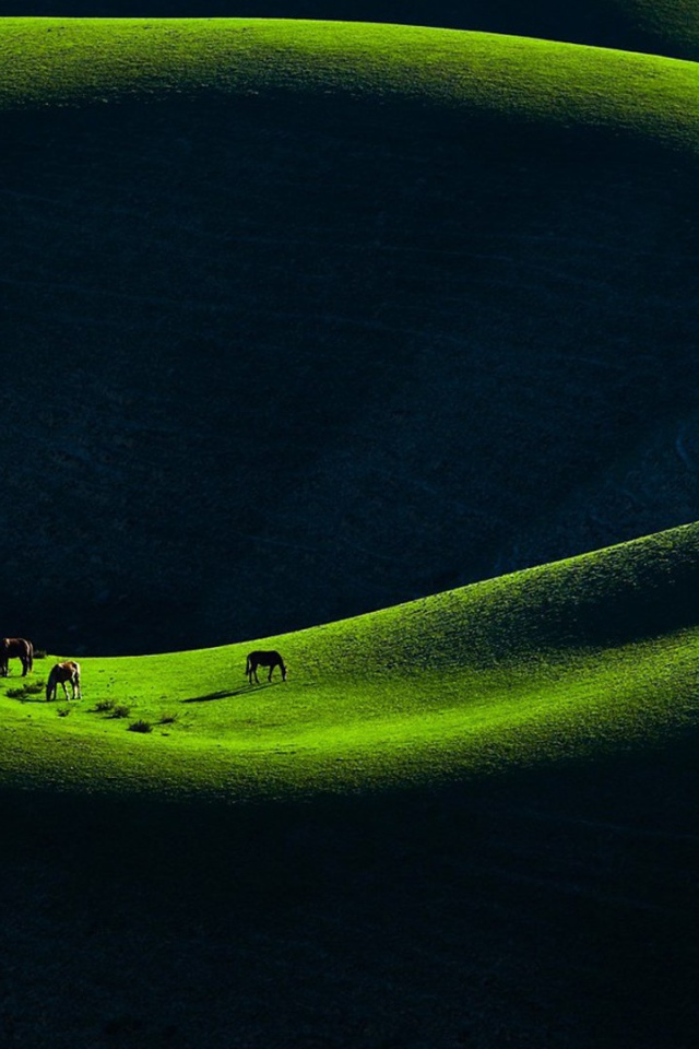 Горное пастбище в Китае