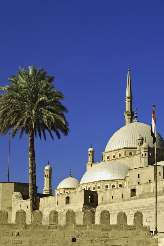 Пальмы во дворе мечети в Египте