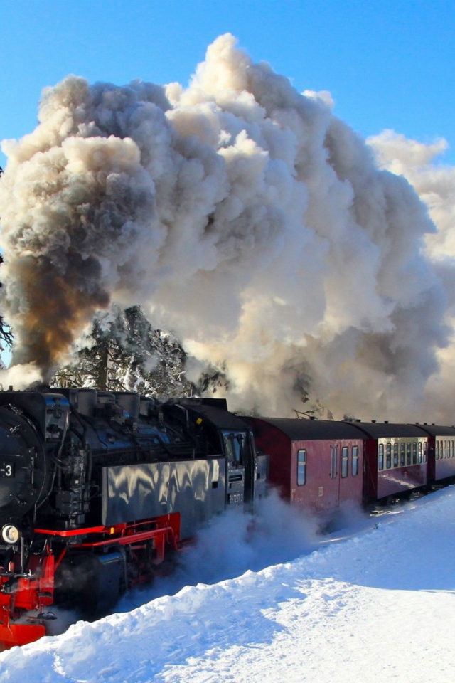 Паровой поезд в Гарц, национальный парк в Германии.
