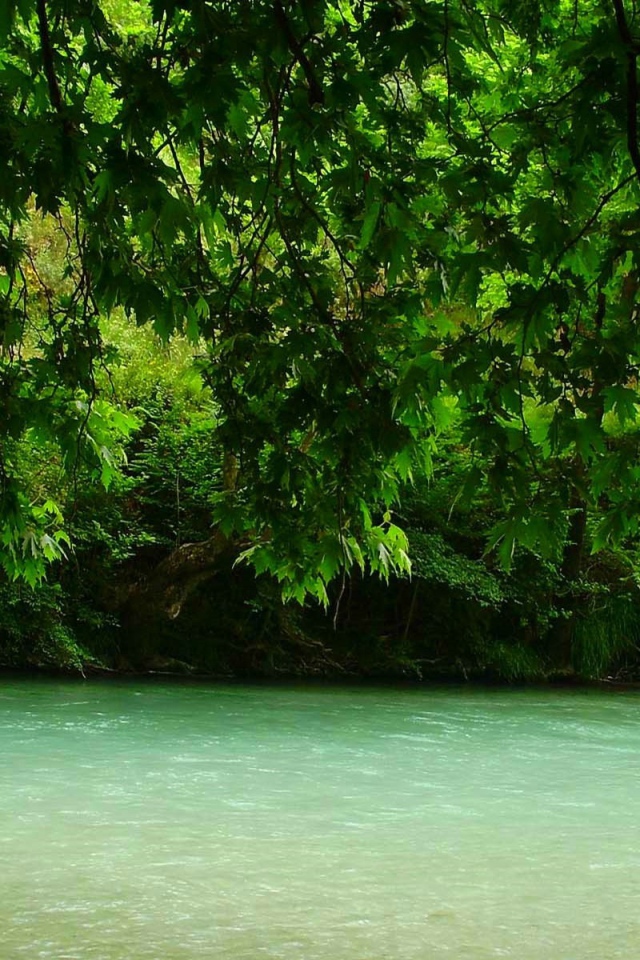 Зелень над рекой, Греция