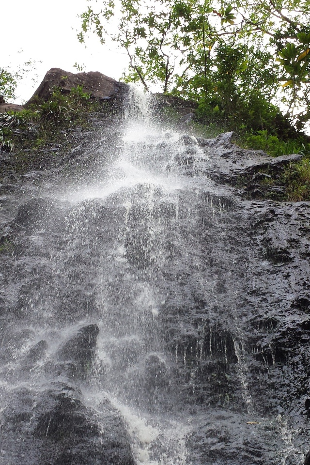 Заповедник Ka‘Au Crater на Гавайях