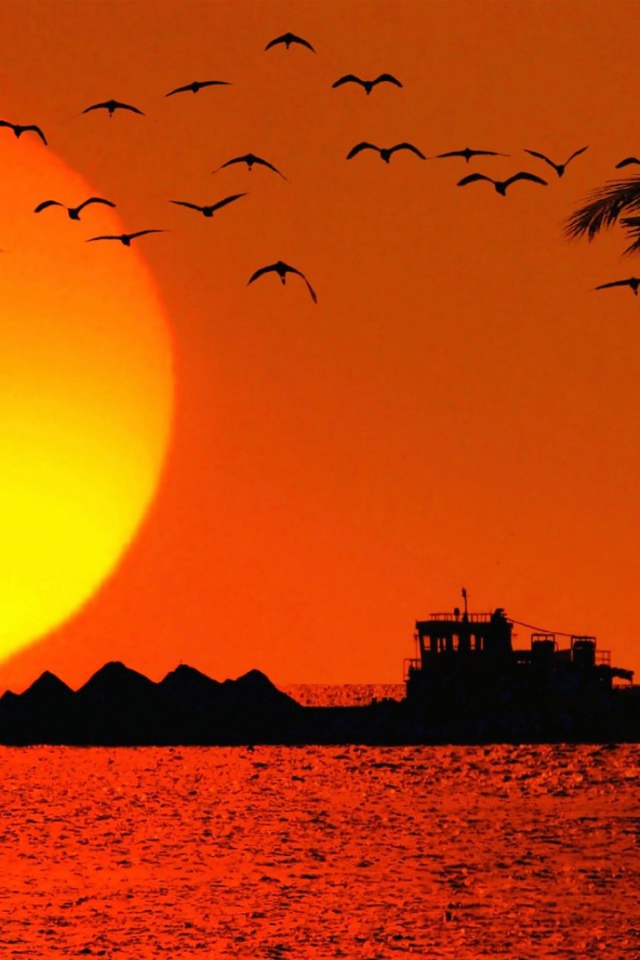 Вечером в Гоа, Индия