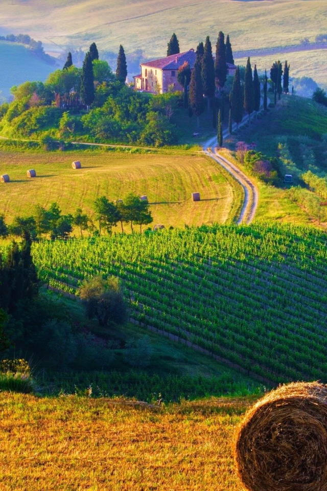 Фермерские поля в Италии