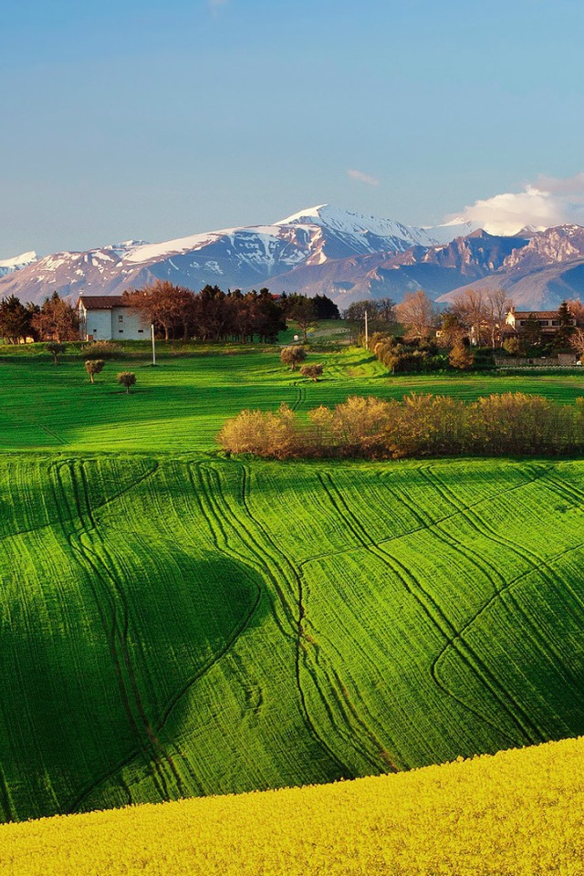 Зеленое поле в Италии