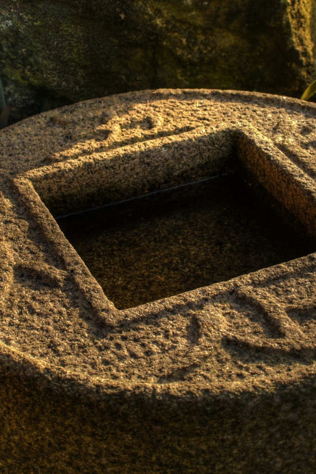 Водоем в японском саду