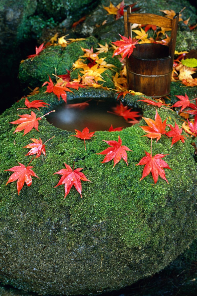 Колодец в камне, Япония