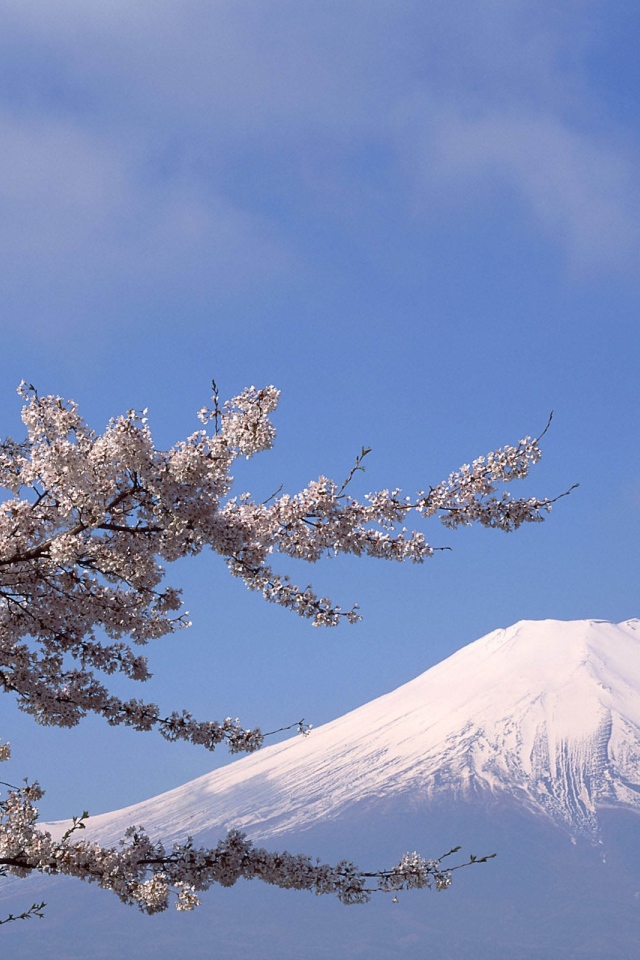 Белая вершина горы Фудзияма