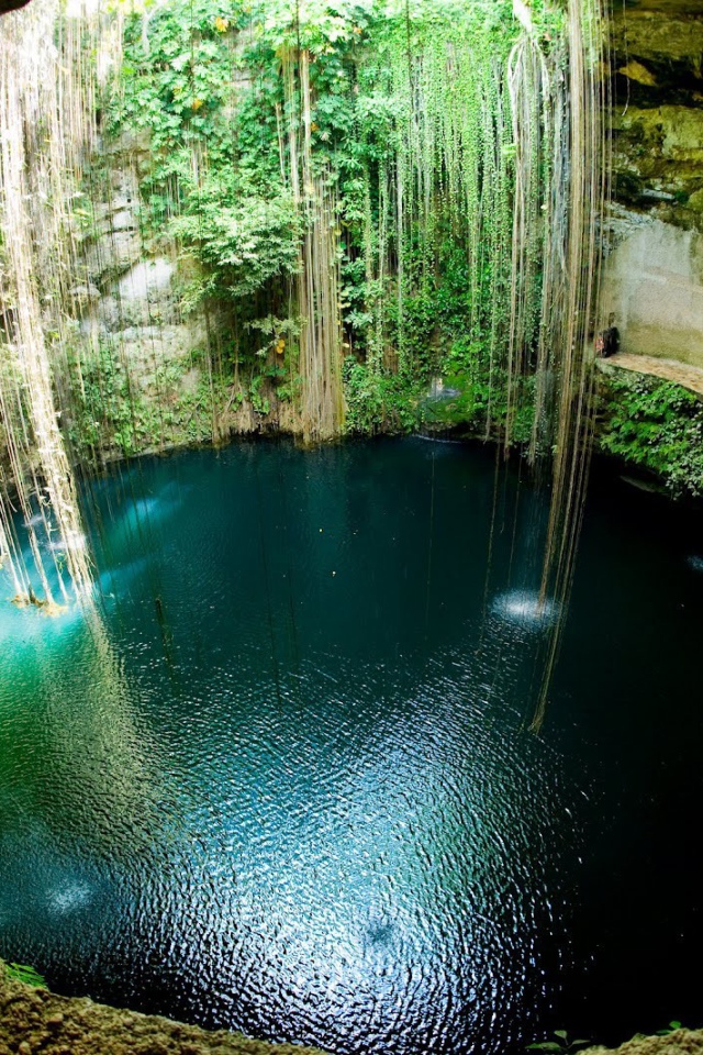 Лианы в пещере в Мексике