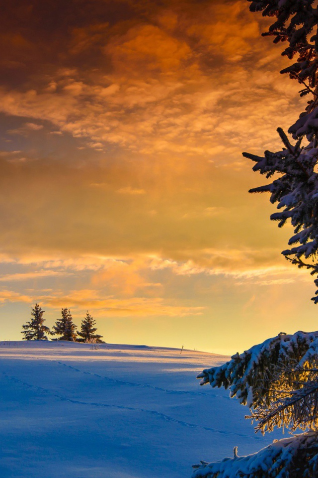 Оранжевые облака на закате в Норвегии