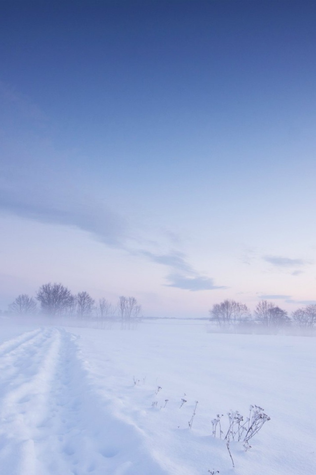 White winter in Sweden