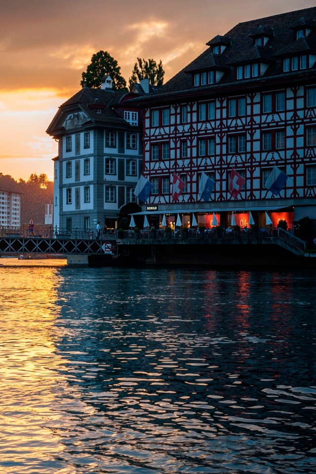 Лебедь на озере, Швейцария