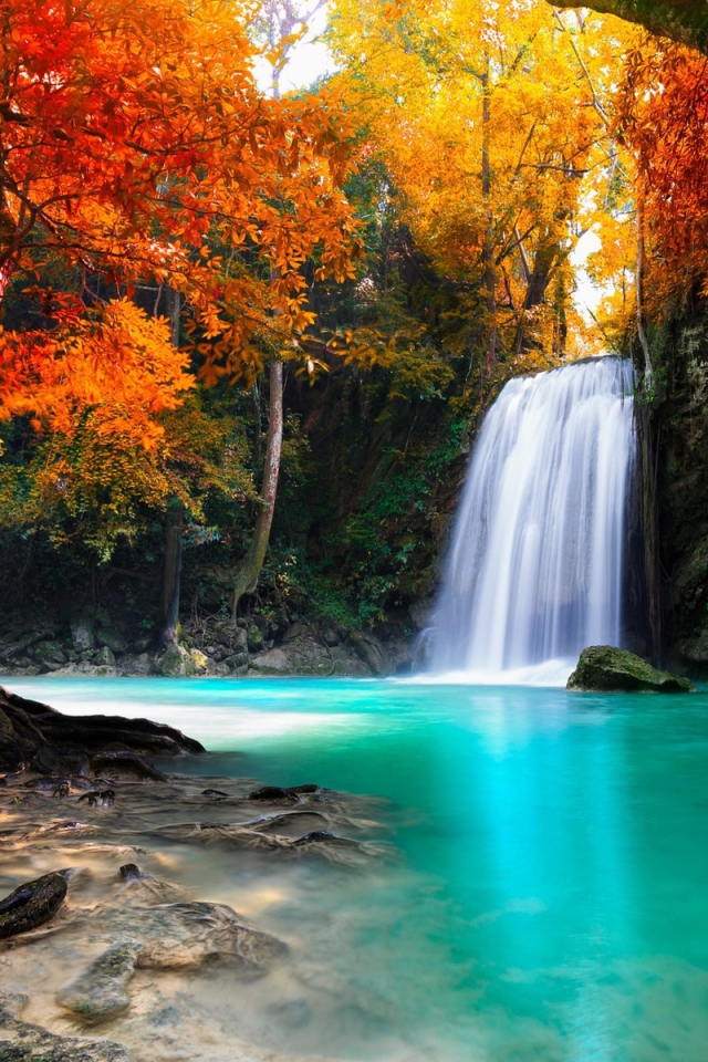 Водопад среди желтых деревьев, Таиланд