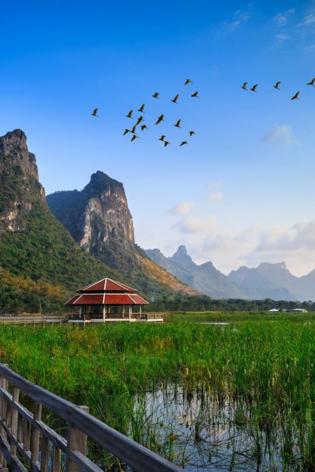 Заболоченная местность в Таиланде