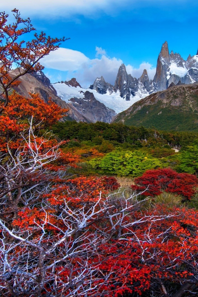 Красочная местность Патагония