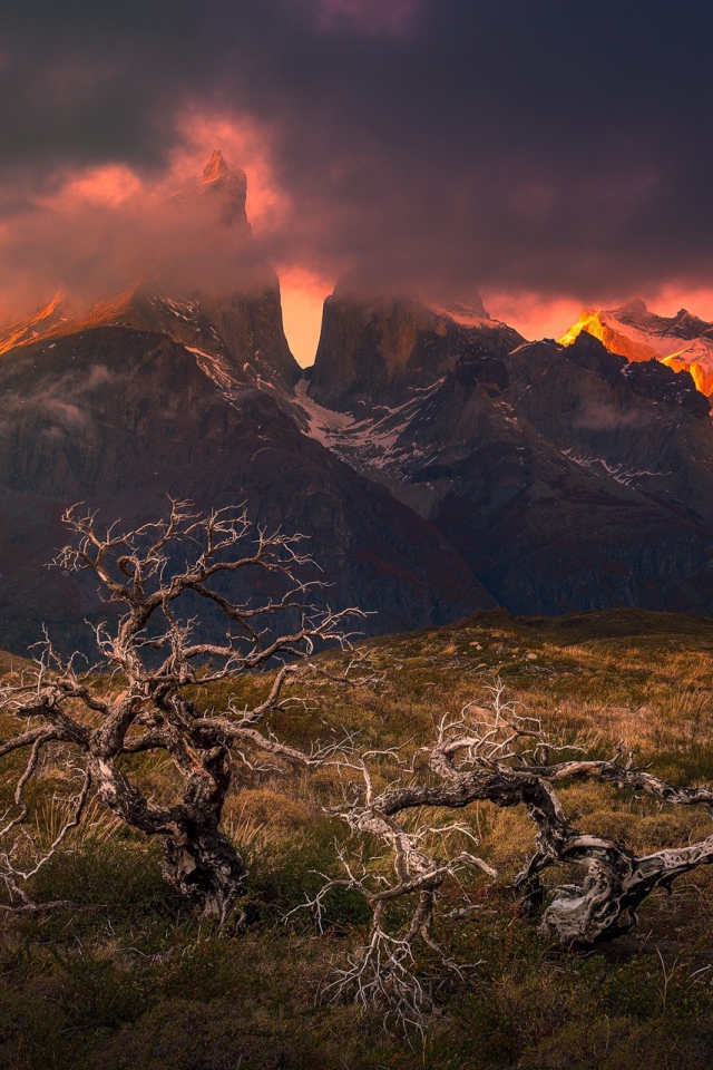 Гористая местность Патагония