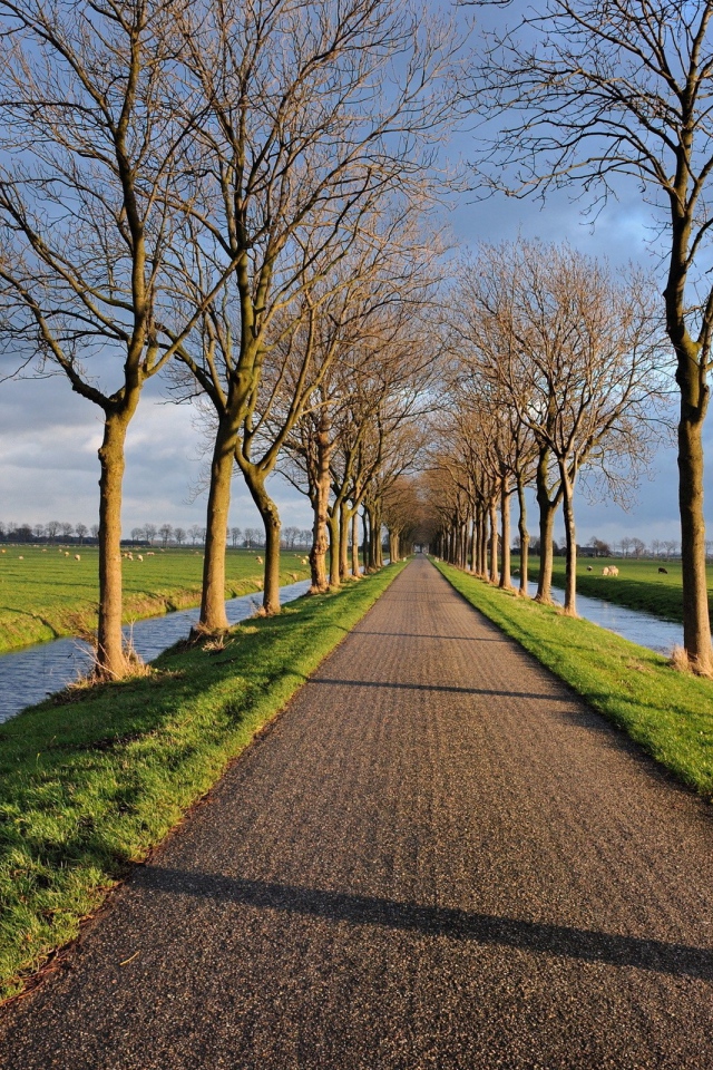 Дорога и аллея между двух каналов