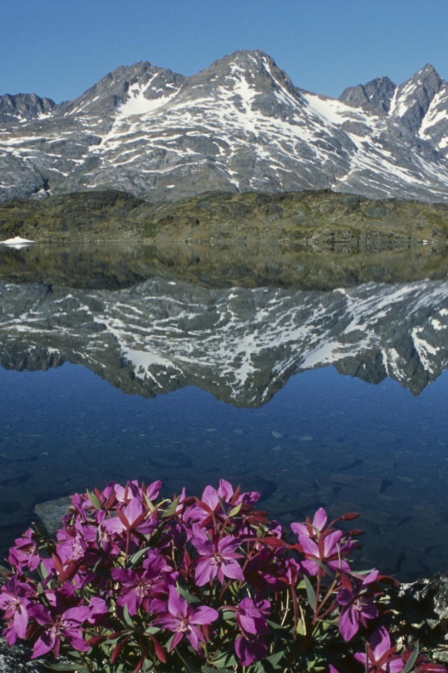 Суровая природа Гренландии