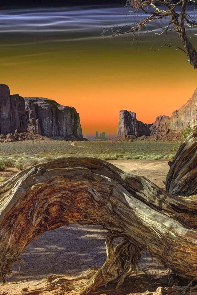 Сухое дерево в Долине монументов, США