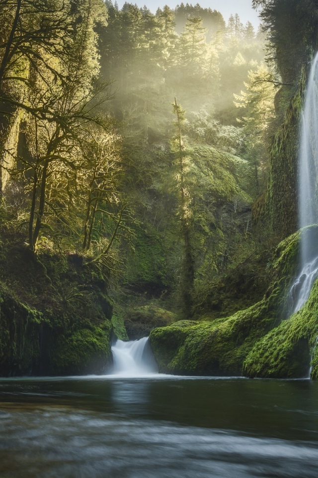 Водопады среди зелени в Орегоне