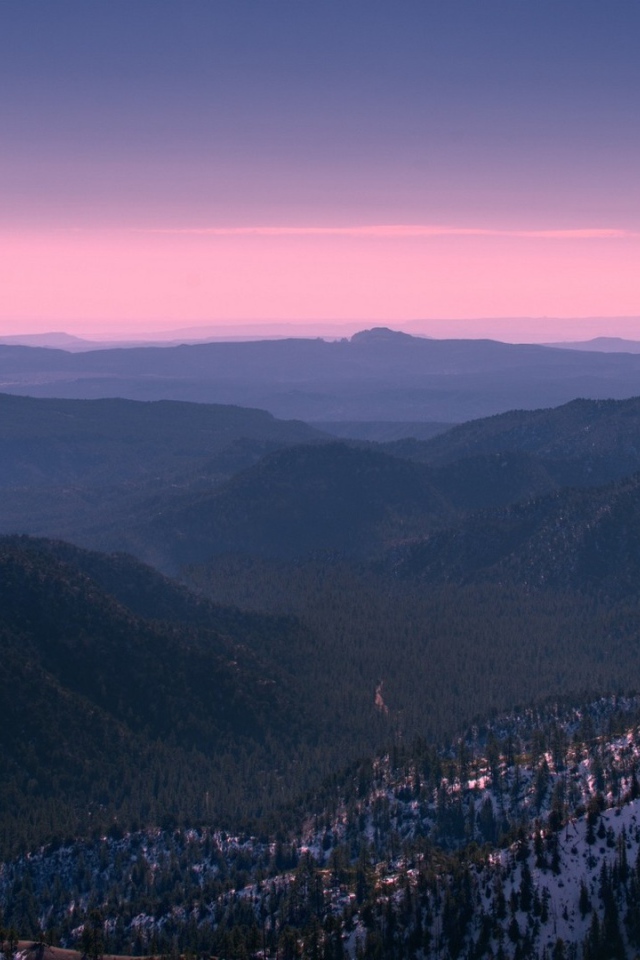 Покрытый лесом каньон Брюса в Юте
